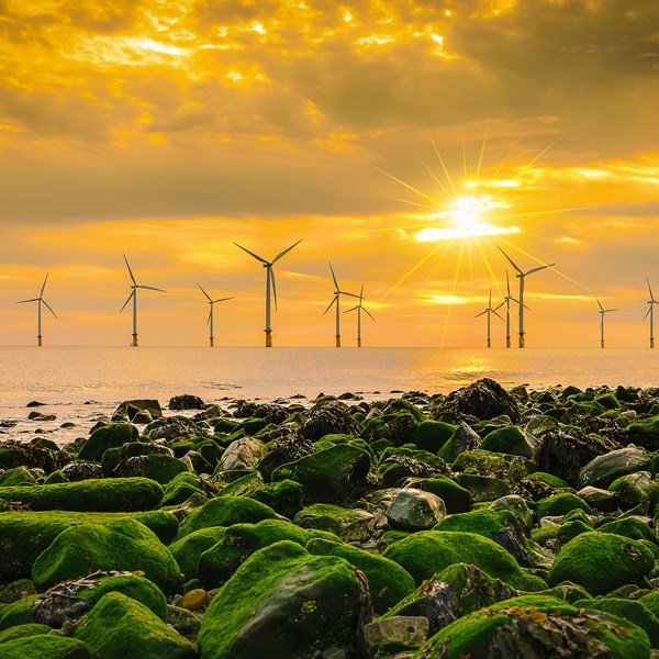 A 'one stop shop' for South Korean offshore wind permitting?